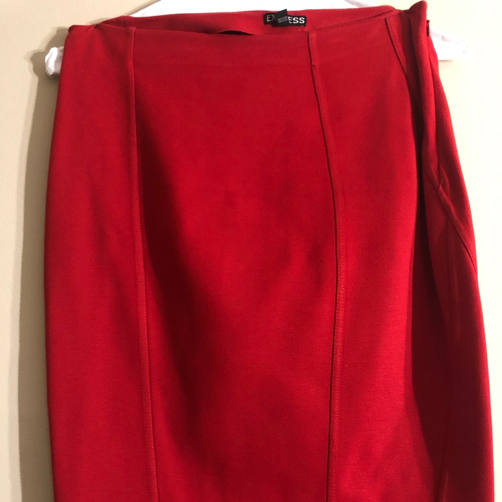 Express Bodycon Pencil Skirt